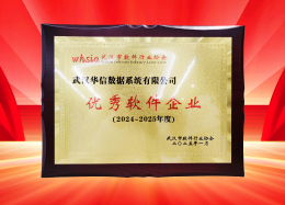 喜讯丨DB真人旗舰 DB数据获评2024~2025年度武汉市软件行业&ldquo;优秀企业&rdquo;、&ldquo;优秀工作者&rdquo;荣誉称号！